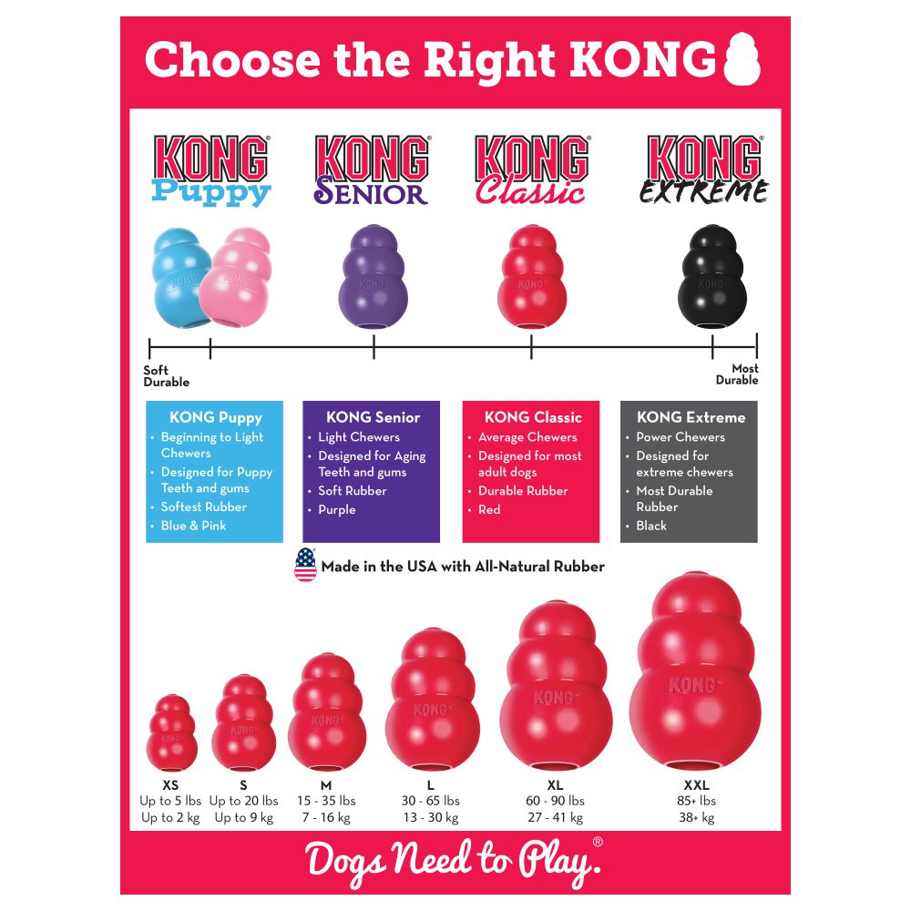 Kong classic on sale
