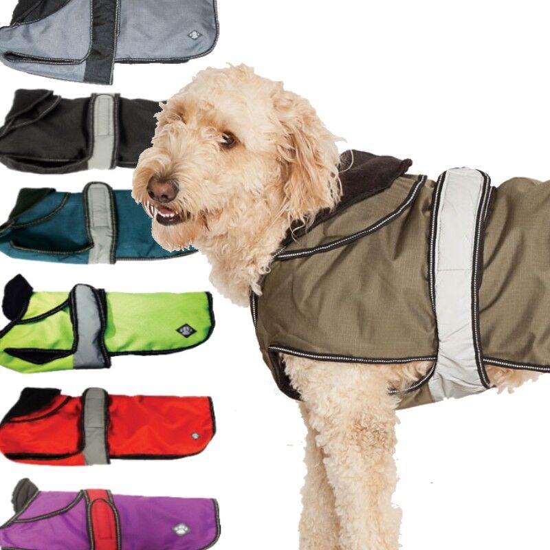 Danish design 2 in 1 harness dog clearance coat